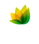 Genea Consultores